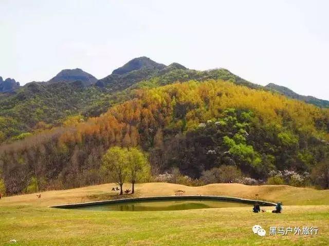 云南、青海接连地震，二者存在关联吗？游戏画面